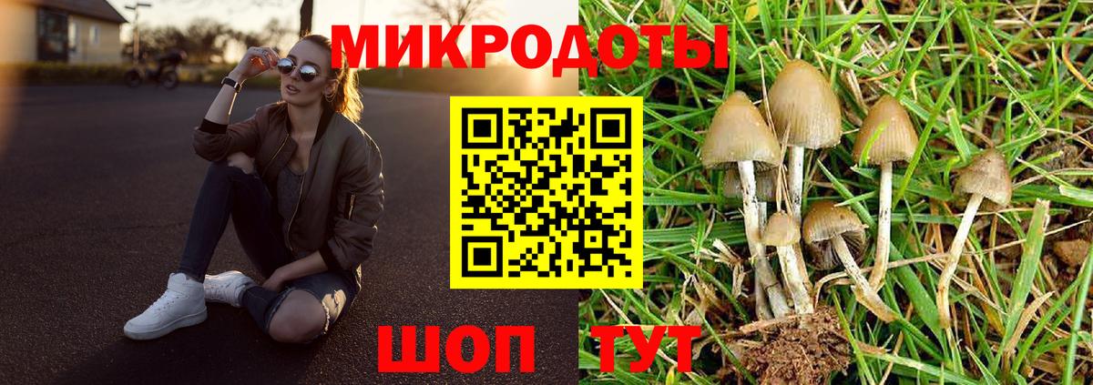 Галлюциногенные грибы мухоморы  Галлюциногенные грибы Cubensis  Острогожск  где найти   Вход с VPN 