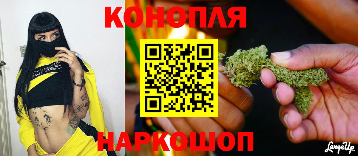 Шишки марихуана план Острогожск